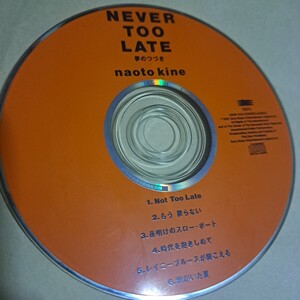 NEVER TOO LATE 夢のつづき 木根尚登　CD ディスクのみ