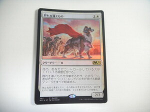 A307【MTG マジック・ザ・ギャザリング】群れを導くもの Foil 即決