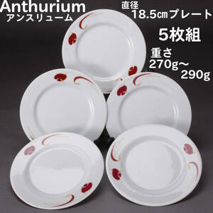 anthurium アンスリューム アンスリウム パンプレート5枚セット 直径18.5㎝ 高さ1.5㎝ 底径10.5㎝ 中古 KA-7035