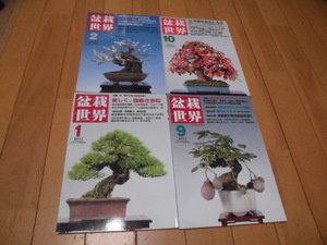 盆栽世界　木村正彦の楽しい盆栽教室　2010年2月・10月　　2011年1月・９月　　計4冊