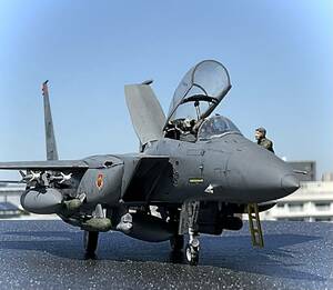 1/72 HASEGAWA F-15E Strike Eagle FG / ハセガワ ストライクイーグル完成品 ジャンク