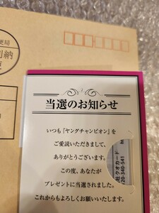 【新品未使用】沢口愛華 クオカード ヤングチャンピオン 抽プレ当選品