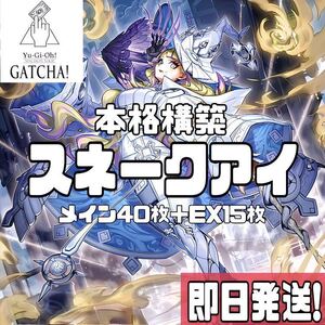 即日発送！罪宝スネークアイ　デッキ　遊戯王　レガシーオブデストラクション