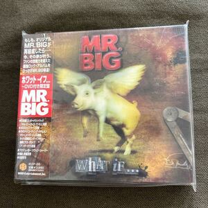 DVD付 限定盤 Mr. Big/What If 2010年発売,IEZP-26,国内盤帯付,歌詞対訳付,3Dケース仕様 新品同様