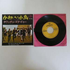 49012152;【国内盤/7inch】The Nashville Teens ザ・ナッシュヴィル・ティーンズ / かわいい小鳥