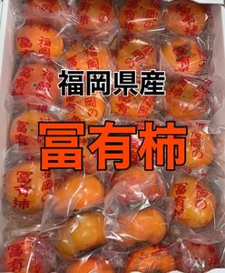 福岡県産 冷蔵 冨有柿 2kg(箱込み) 送料無料◎