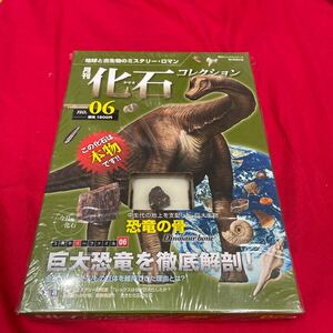 複　Y501. 6. 未開封 化石付き 月刊化石コレクション NO.06 地球と古生物のミステリー・ロマン　保管品　シュリンク付き　