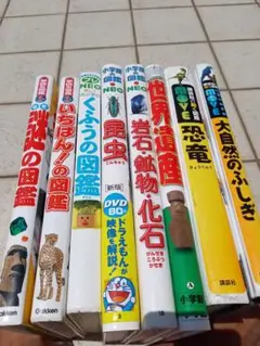 【新小1向け特別】小学生に最適な図鑑、人気のジャンル8点セット。3冊はDVD付。