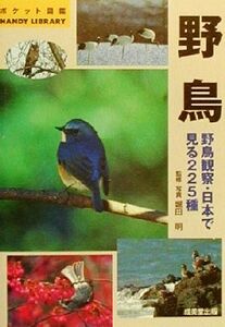 野鳥 野鳥観察・日本で見る225種/堀田明