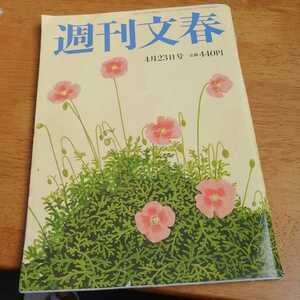 ☆週刊文春/令和2年4月23日/貫地谷しおり 岡崎慎司 小池百合子 小室哲哉 KEIKO 安住紳一郎 桑田佳祐 クリストフルメール☆