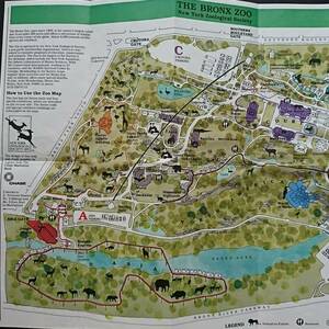 【AIKU-YA】ニューヨーク 地図 ブロンクス動物園 ジャンクジャーナル素材にも コラージュ アメリカ