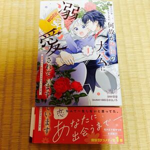 姉に悪評を立てられましたが、何故か隣国の大公に溺愛されています １巻 最新刊 長神