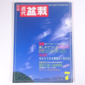 月刊 近代盆栽 No.129 1988/7 近代出版 雑誌 盆栽総合誌 園芸 ガーデニング 植物 特集・挿し木でつくる夢盆栽 梅雨から夏への盆栽管理