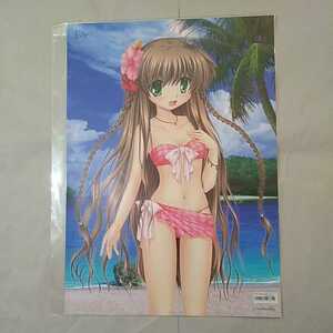 VA購買部出張所2011夏 Rewrite リライト 神戸小鳥 水着 お風呂 ポスター 未開封新品 持ち折れ多数・ビニール痛みあり Key