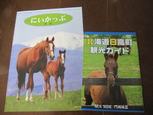 数量限定本　2022年　北海道　新冠町　日高町　観光ガイド　サラブレッド　ハイセイコー　ナリタブライアン　オグリキャップ
