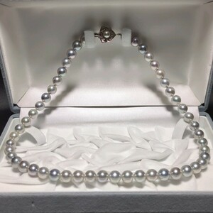 【大珠】ほぼ無傷 アコヤ真珠 8.0-8.5mm 45.5cm ブルーグレー ネックレス 本真珠 アクセサリー SILVER pearl あこや パール