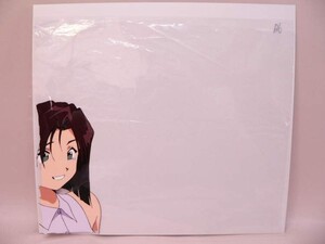 （セル画） 逮捕しちゃうぞ その6／辻本夏実【中古】