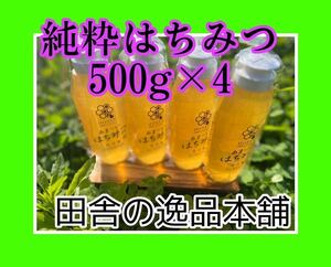 あま〜い♪おかやま産 搾りたて♪はちみつ500g×4 令和6年5月採蜜