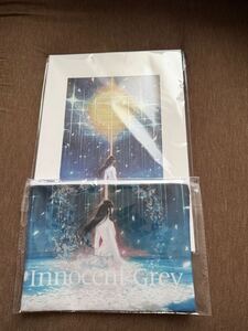 杉菜水姫　Innocent Grey『白夜』図録2024年おまけ付き