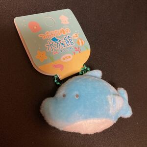 つぶらな瞳の水族館 ぷちマスコットBC その2 いるか キーホルダー ストラップ ぬいぐるみ マスコット グッズ イルカ