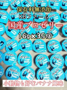 KBファーム 国産プロゼリー16g 35個 カブトムシ クワガタ 昆虫