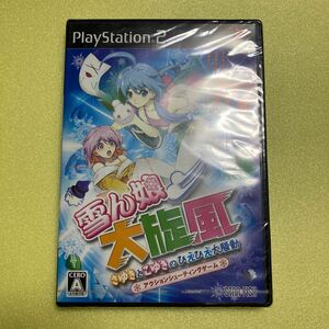 【PS2】 雪ん娘大旋風 ～さゆきとこゆきのひえひえ大騒動～　新品未開封