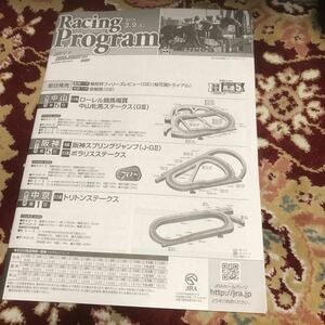 JRAレーシングプログラム2019.3.9（土)中山牝馬ステークス（GⅢ)、阪神スプリングジャンプ（J・GⅡ)、ポラリスステークス