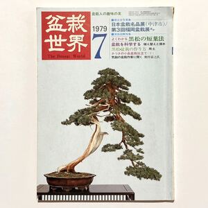 盆栽世界　1979年（昭和54年）7月号　特集：よくわかる黒松の短葉法　展示会写真集：日本盆栽名品展／第３回福岡盆栽展ほか　樹石社