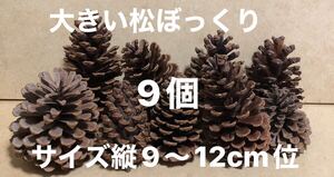 大きな松ぼっくり　９個　サイズ 縦約9～12cm前後　送料660円　自然素材　手芸　工作　クリスマス ツリー　リース　お正月 　飾り付け