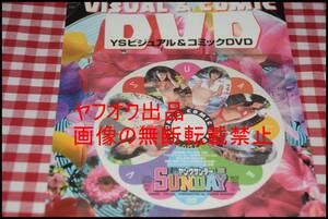 ◎ヤングサンデー◎佐藤寛子◎井上和香◎森下千里◎安倍麻美◎平田裕香◎仲根かすみ◎付録DVD◎未開封◎