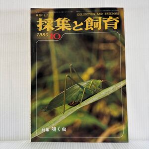 採集と飼育 1980年10月号★クダマキモドキ/秋を奏でる/故宮の二面/沖縄の海浜植物/鳴く虫/キリギリス/コオロギ/生物の知識・観察と実験