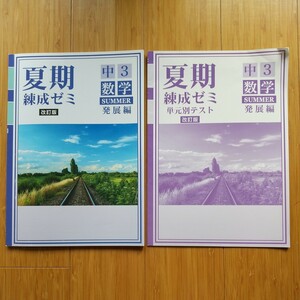 錬成ゼミ 塾テキスト 教材 中３ 数学 発展編