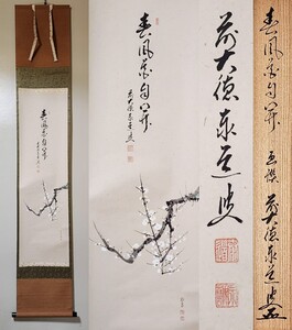 ≪茶掛≫ 大徳寺派 雲禅寺 【足立泰道賛】 【田中松泉画】 『春風花自開 白梅図 画賛』 紙本 桐共箱 紙外箱 掛軸 墨跡