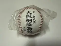 第90回全国高校野球選手権大会　大阪桐蔭記念ボール