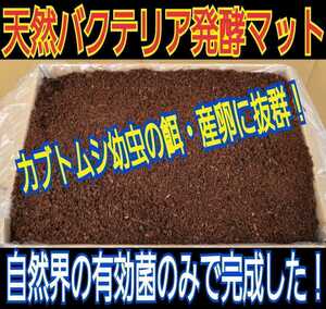 カブトムシ幼虫の大量飼育にどうぞ☆天然マット【200L】オオヒラタケ菌床を粉砕し自然界のバクテリアのみで6ヶ月間完熟発酵させました！