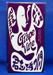 GRAPEVINE グレイプバイン / 2nd SINGLE 君を待つ時間 / 見本 NOT FOR SALE / FOR PROMOTION USE ONLY 未使用 8cmシングルCD / DMP-1228