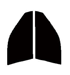 ダークスモーク　１３％　運転席、助手席　アルテッツァ　SXE10・GXE10　カット済みフィルム　国産