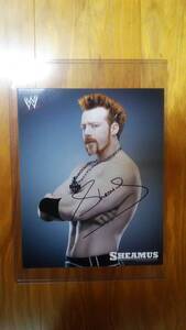 WWE　　Sheamus　シェイマス　　直筆サイン