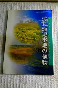 渡良瀬遊水地の植物　２００７年発行　大和田真澄　渡良瀬遊水地アクリメーション振興財団　Ａ５版　４２ページ　☆0914～出350