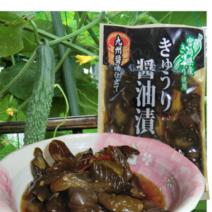 【きゅうり醤油漬】 100g×1袋 ご飯のお供 宮崎県産きゅうり おにぎり おかず カレーライスの付合せ お茶うけに お酒の肴 送料無料