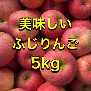 山形県産 美味しい ふじりんご　家庭用5kg