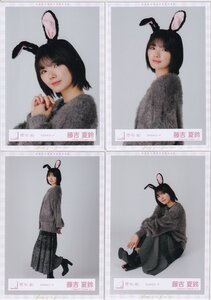 櫻坂46 藤吉夏鈴 うさみみコーデ衣装 生写真 4種コンプ