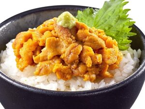 【Max】お刺身用のブランチ 生うに100ｇ 冷凍 VAグレード 瞬間凍結で鮮度抜群！生食用