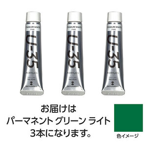 【3本×5セット】 ターナー色彩 U35 パーマネントグリーンライト20ml TURNER108676X5 /l