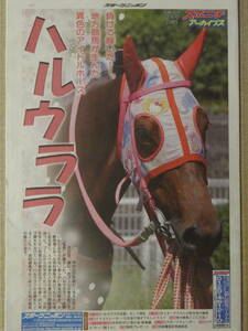 ★ハルウララ特集 史上空前のアイドルホース 高知競馬／2023年2月号 スポーツ新聞／スポニチ別売 アーカイブス