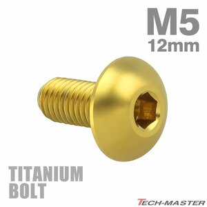 M5×12mm P0.8 64チタン合金 トラスヘッド 六角穴付き ボタンボルト ゴールドカラー 車/バイク/自転車 1個 JA592