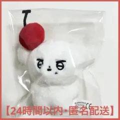 THEBOYS ドボイズ ヨンフン ぬいぐるみ キーホルダー 10cm