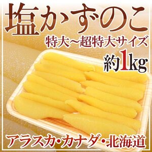 すぐ発送！限定1箱！本チャン【ジャンボ塩かずのこ】1ｋｇ １本羽 贈答◎！！！！