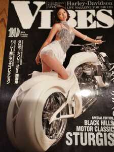 VIBES　バイブズ 　2014年 10月 vol.252 　卯水咲流