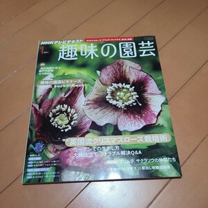 ＮＨＫ　趣味の園芸 ２０1１年１月号 （ＮＨＫ出版）